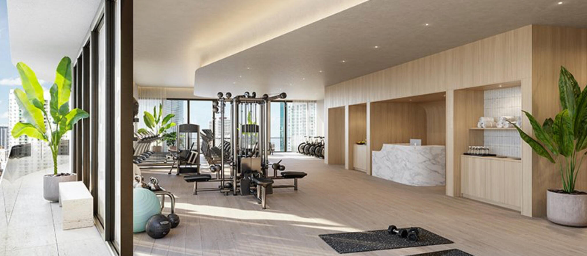 Modern Gym